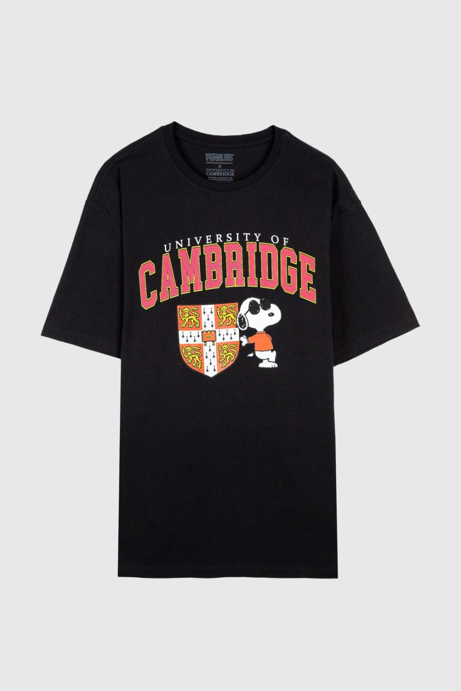 Camiseta azul intensa con estampado de Snoopy & Cambridge y manga corta