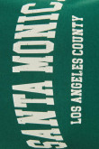 Camiseta en algodón unicolor con diseño college y cuello redondo