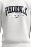 Buzo cuello redondo unicolor con diseño college de Phoenix