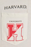 Camiseta crema manga corta con diseño college de Harvard