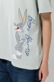 Camiseta verde clara manga corta con arte de Looney Tunes