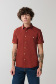 Camisa en algodón unicolor manga corta con cuello sport