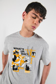 Camiseta oversize manga corta de Looney tunes.
