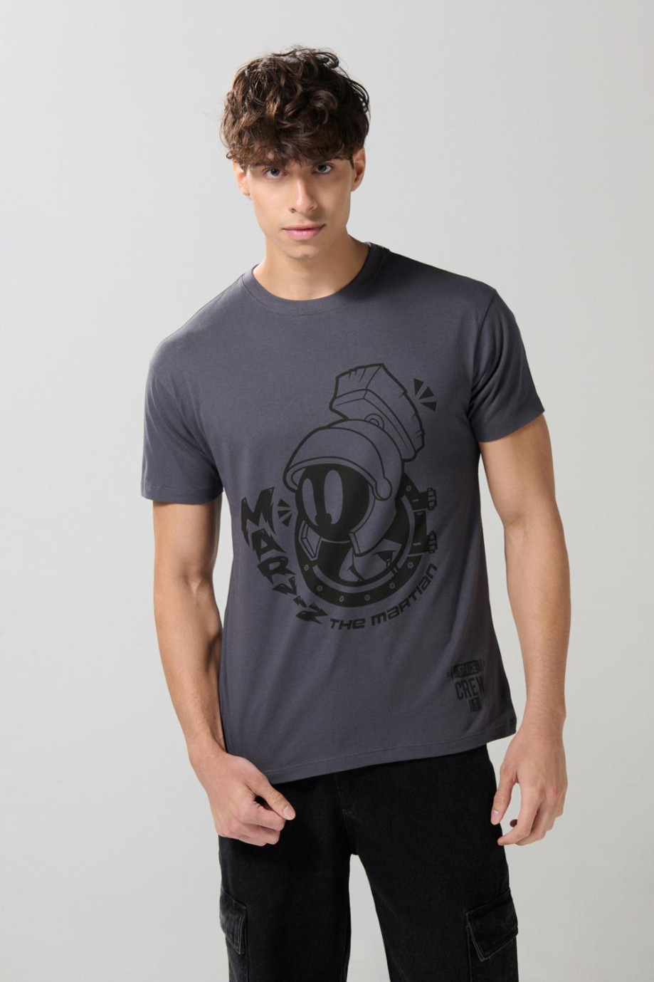 Camiseta gris intensa manga corta de Looney Tunes