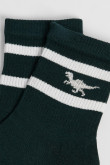 Medias cortas unicolores con diseño de dinosaurio y rayas