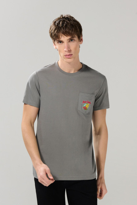 Camiseta gris cuello redondo de Castores Cascarrabias