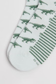 Medias tobilleras unicolores con artes de dinosaurios