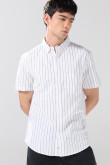 Camisa unicolor en algodón cuello button down a rayas