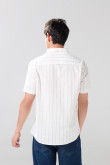 Camisa unicolor en algodón cuello button down a rayas